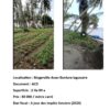 Vente d’une parcelle de 2 Hectares à Bingerville Anan